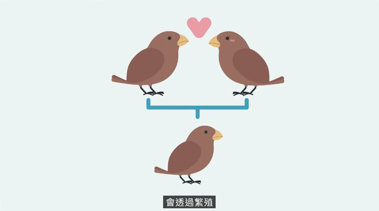 繁衍 發展 意思 (99) 사진