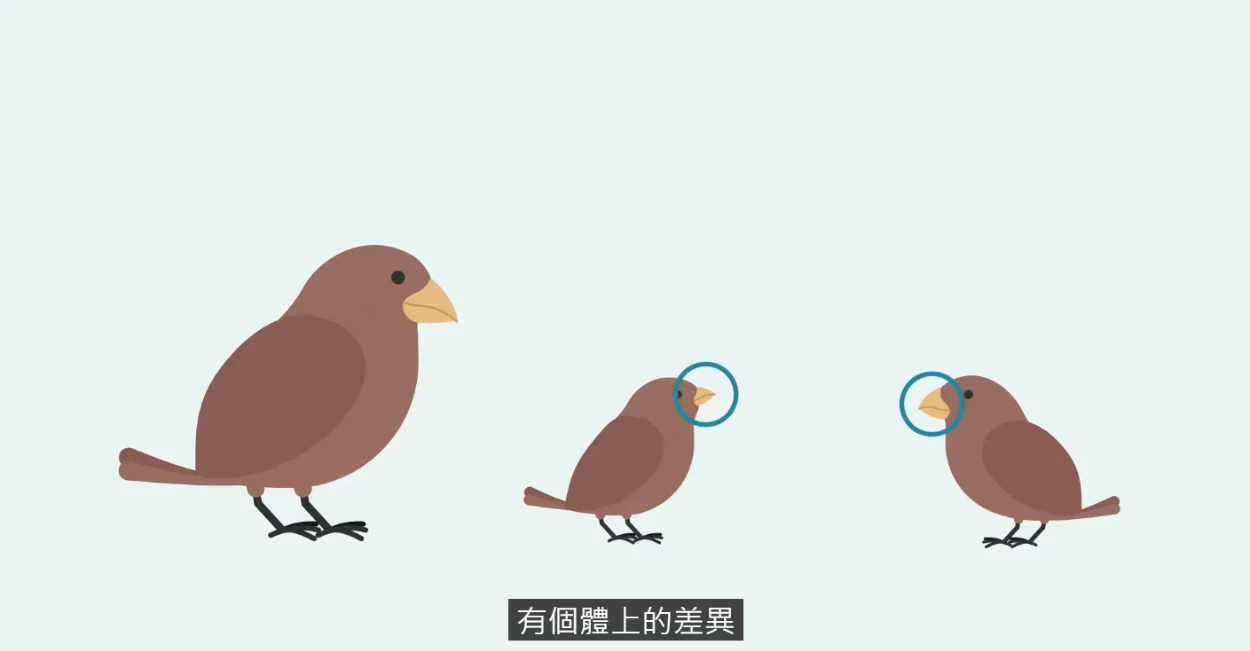 物競天擇影片－達爾文如何透過雀鳥繁衍驗證天擇？ - LIS情境科學教材