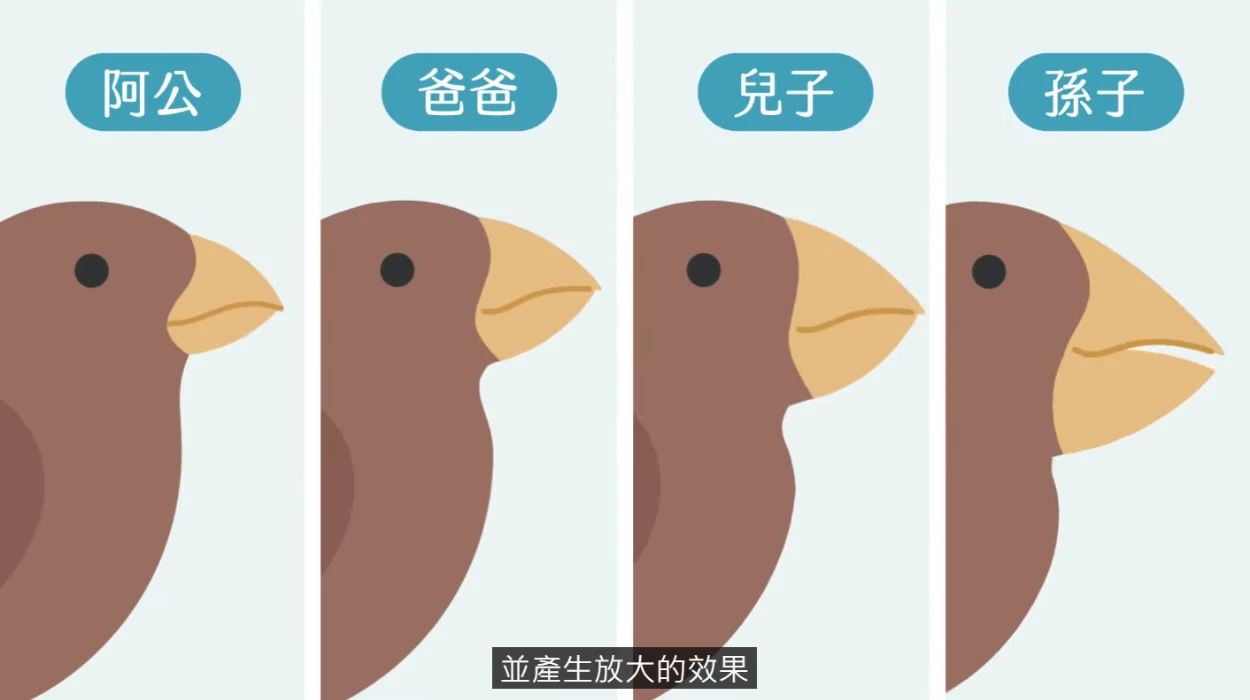 物競天擇影片－達爾文如何透過雀鳥繁衍驗證天擇？ - LIS情境科學教材