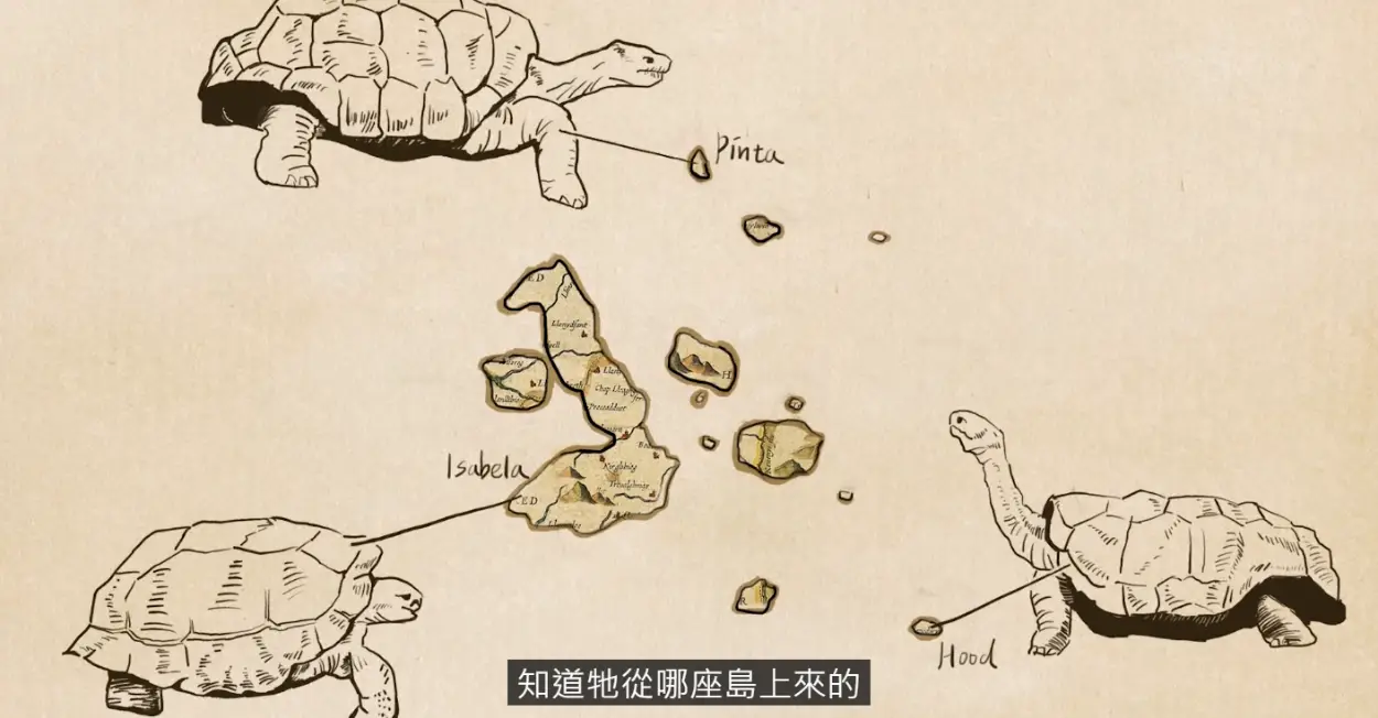 物競天擇影片－達爾文如何透過雀鳥繁衍驗證天擇？ - LIS情境科學教材